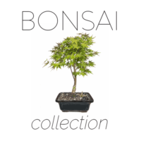 Bonsai_collection_logo